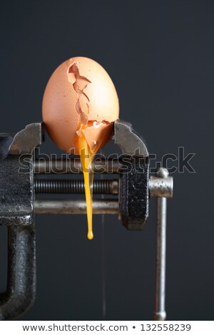 Egg In Vise Stockfoto © cosma