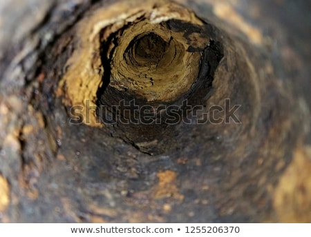 [[stock_photo]]: Sewer Pipe