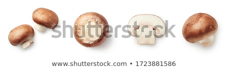 Stock fotó: Mushrooms