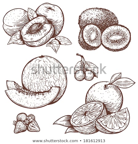 [[stock_photo]]: Apricot And Kiwi Vector Illustration