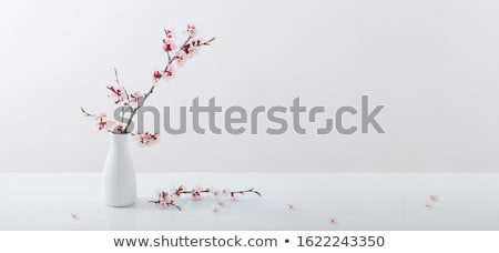 Stok fotoğraf: Cherry Blossom Flowers On Wooden Background