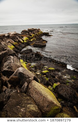 Zdjęcia stock: Seaweed Covered Breakwater