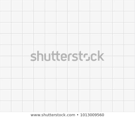 Grey And White Paving Tiles For The Background Foto stock © Albachiaraa