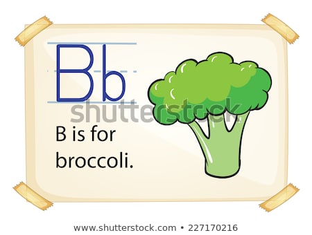 Foto d'archivio: Flashcard Letter B Is For Broccoli