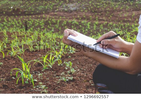 Stockfoto: Engineer In Fields Taking Notes