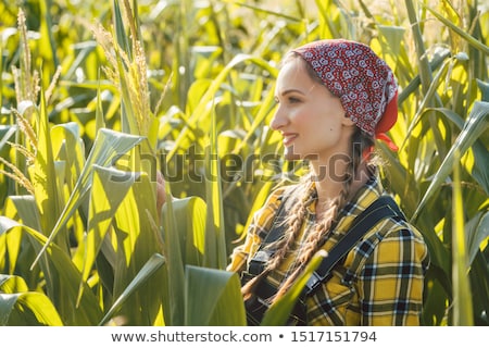 Stock photo: Farmer Woman Checks Out Her Maize Field