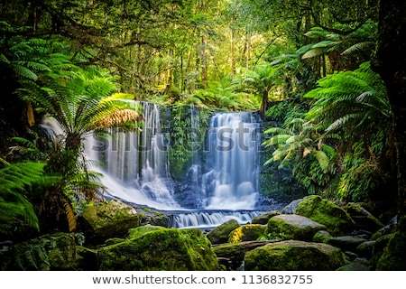 Foto stock: Scene With Waterfall And Field