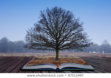 Stock fotó: Single Tree Growing Out Of Pages In Magic Book