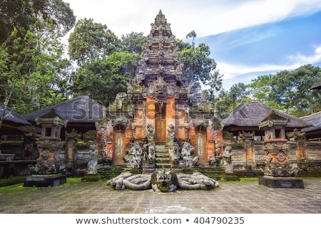 Foto stock: Monkey At Sacred Monkey Forest Ubud Bali Indonesia