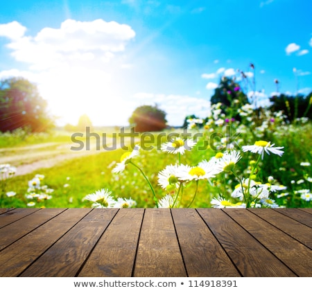 Stock photo: Security On Wooden Table