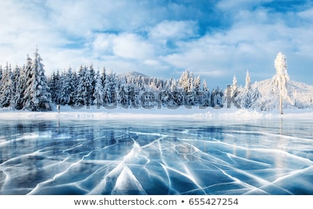 Stock fotó: Frozen Winter Landscape