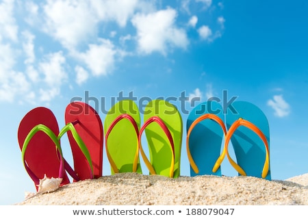 Shell Shoe [[stock_photo]] © Kenishirotie
