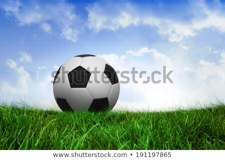 Foto d'archivio: Football Ball On Grass Under Blue Sky