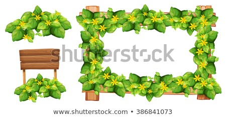 Zdjęcia stock: Wooden Sign With Flowers And Bush