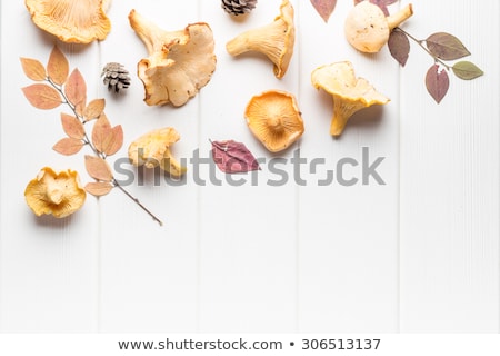 Zdjęcia stock: Group Mushrooms With Fall Leaves