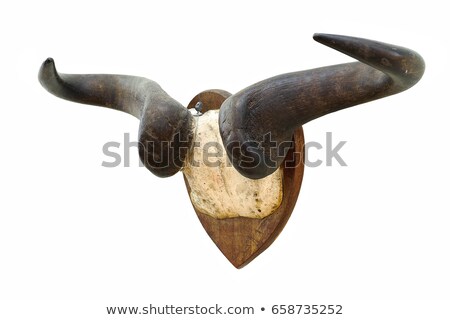 Stock photo: Wildebeest Hunting Trophy