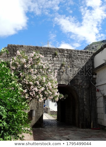 Stock photo: Fortifications