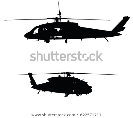 Foto stock: Black Havk On White Background