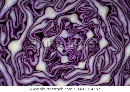Zdjęcia stock: Red Cabbage Salad Food Photography