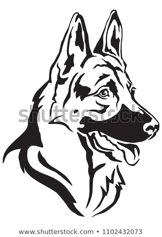 Stockfoto: Silhouette Of German Shepherd Dog