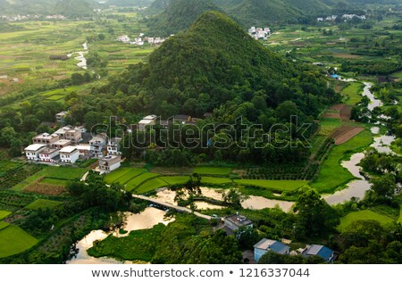 Zdjęcia stock: Amazing Panorama View Of The Rice Fields Limestone Rocks And Mo