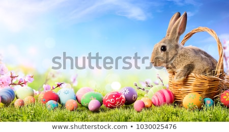 Stock fotó: Easter Bunny With Colorful Egg