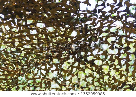 Stock fotó: Leaf Camouflage Net Detail