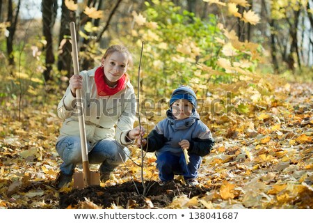 Stock photo: Family Planting Tree With Spade Outdoor In Autumn