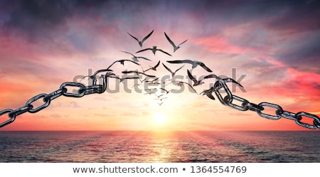 Stockfoto: Freedome