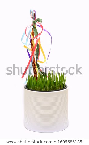 Traditional Easter Decoration Whip And Wheat Grass Сток-фото © Hamik