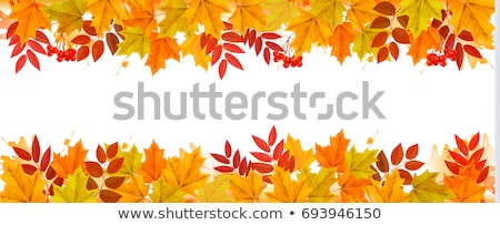 [[stock_photo]]: Autumn Border