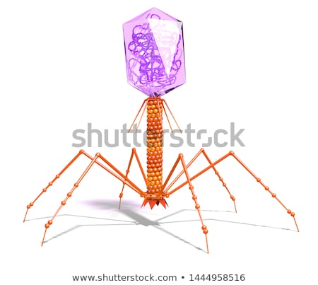 ストックフォト: Bacteriophage