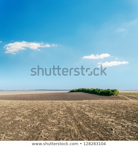 Foto stock: Rado · Arado · Campo · de · Argila · Marrom · Blue · Sky · Horizon