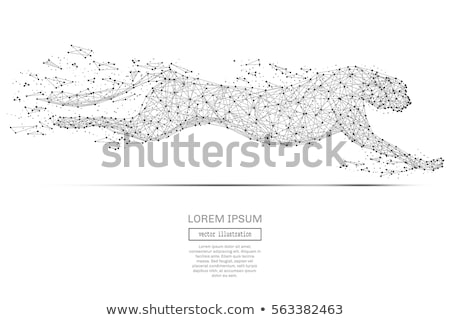 Stok fotoğraf: Leopard 3d Low Polygon Isolate On White Background