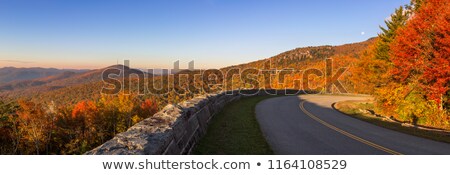 Stock fotó: Forest Ridge With Autumn Colors