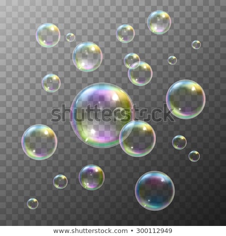 Stok fotoğraf: Transparent Soap Bubble Vector