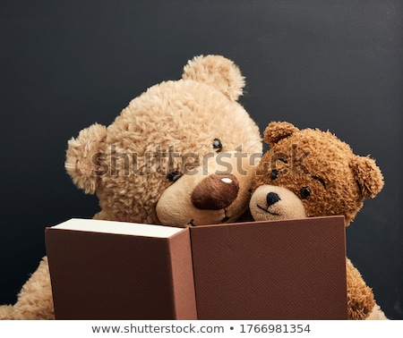 Stock fotó: Funny Teddy Bear Reading A Book 2