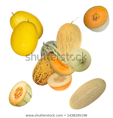 Foto d'archivio: Ripe Melon Varieties