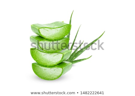 Stock foto: Aloe Vera Slice Isolated On White Background Herbal Medicine