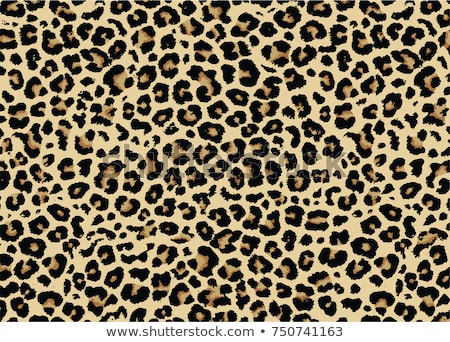 ストックフォト: Leopard Print