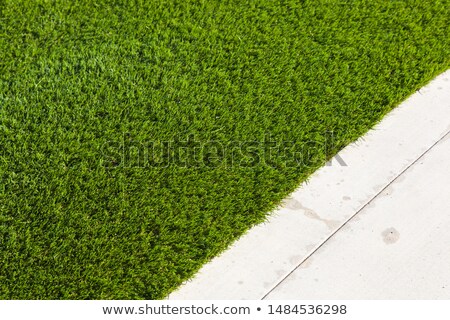 ストックフォト: Newly Installed Artificial Grass Next To Walkway