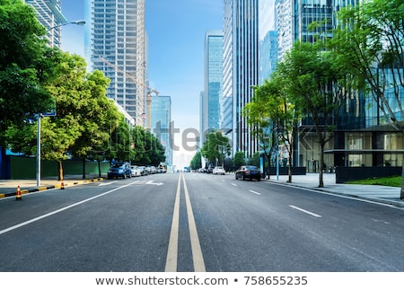 Stock fotó: Street Road With Tree