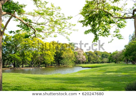 Stockfoto: Spring Park Landscape