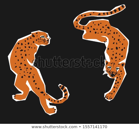 Stockfoto: The Two Cheetahs