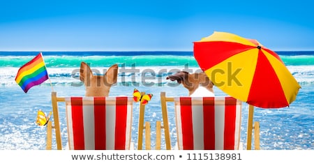 Zdjęcia stock: Gay Dogs Relaxing On A Beach Chair