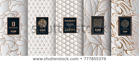 Stok fotoğraf: Golden Luxury Ornamental Label In Vintage Style - Vector Set