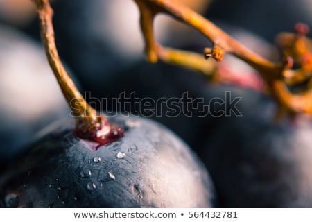 Stock photo: Close Up Of Grapes Cluster