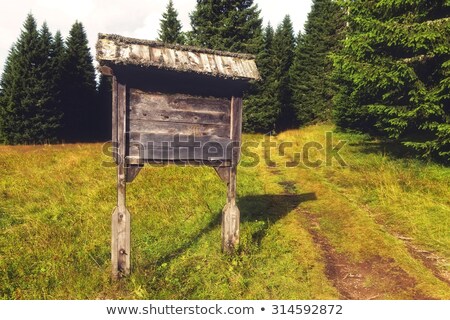 [[stock_photo]]: Forest Sign On Blank