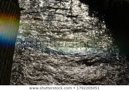 Foto stock: Different Grass And Water Drops Pictures