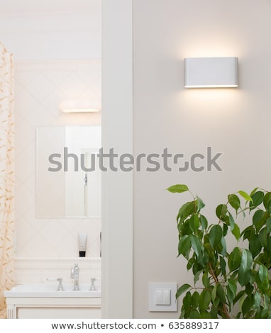 Stock photo: Ornamental Vintage Wall Lamp